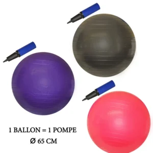 BALLE DE GYM 65CM AVEC POMPE