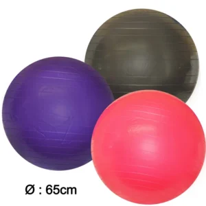 BALLE DE GYM 65CM SANS POMPE