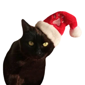 BONNET PELUCHE BRODE + ELASTIQUE PR ANIMAUX