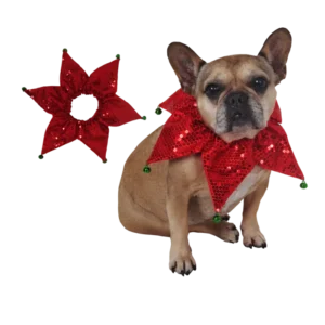 COLLIER CHIEN ETOILE GRELOTS