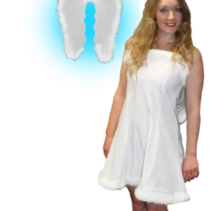 COSTUME ANGE FEMME