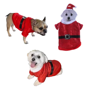 COSTUME DE NOEL CHIEN