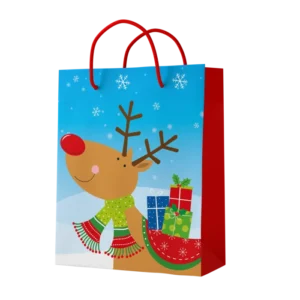 SAC PAPIER 22,5*19*10cm RENNE (scol 50)