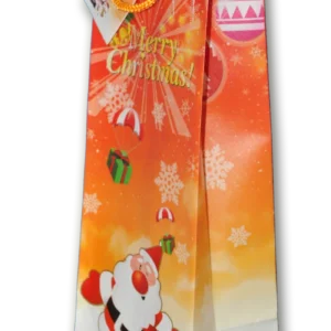 SAC PVC BOUTEILLE DECOR NOEL