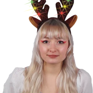 SERRE TETE RENNE LUMINEUX (scol 12)